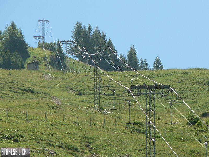 k-P1700456.JPG