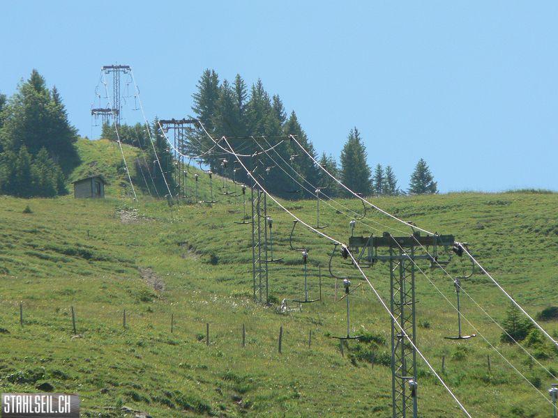 k-P1700458.JPG