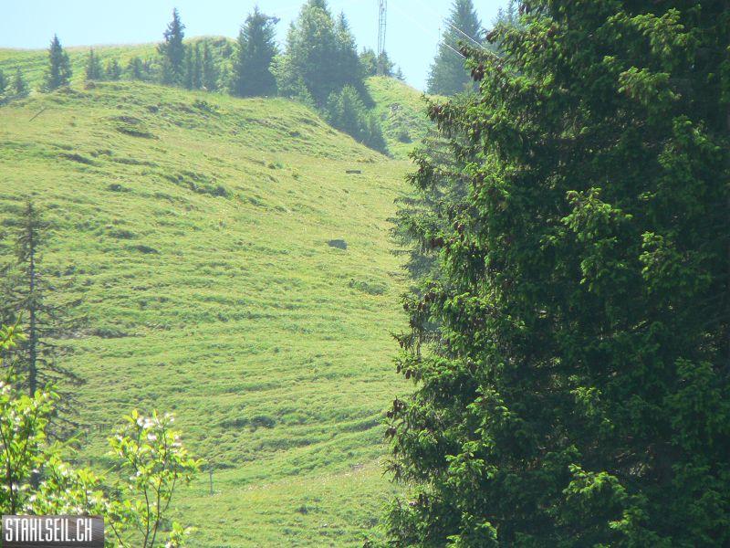 k-P1700490.JPG