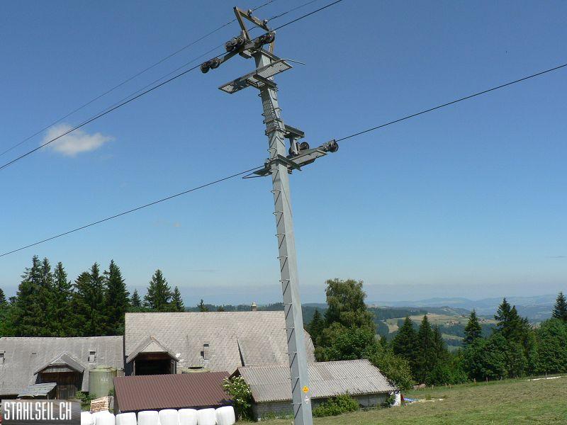 k-P1700354.JPG