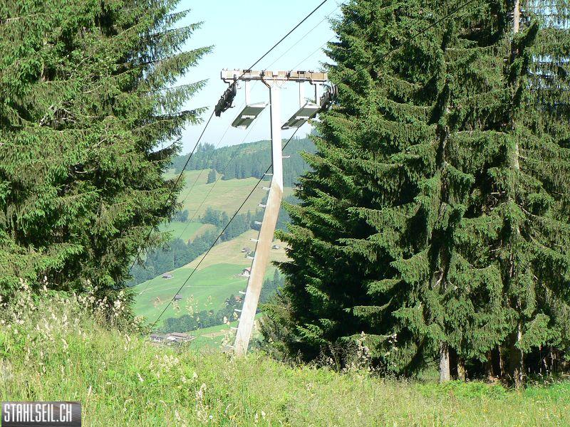 k-P1700929.JPG