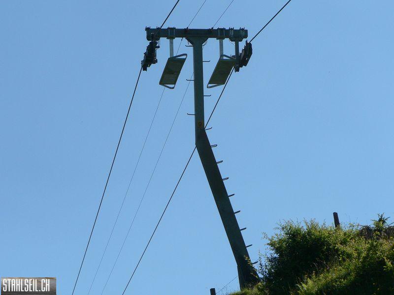 k-P1700939.JPG
