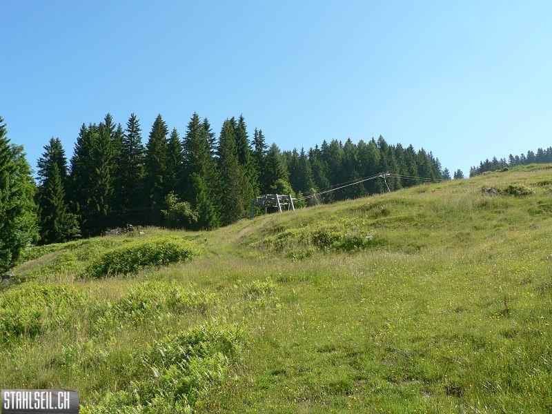 k-P1700951.JPG