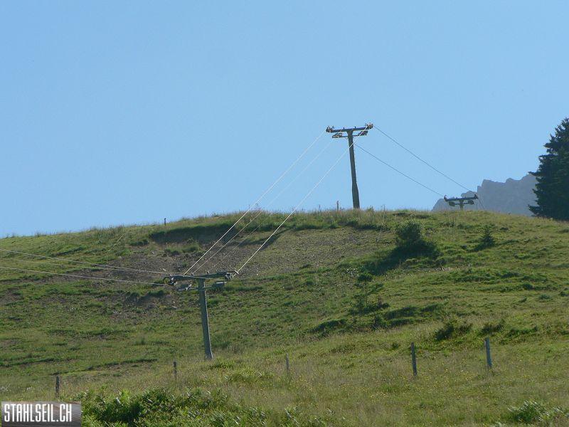 k-P1700968.JPG