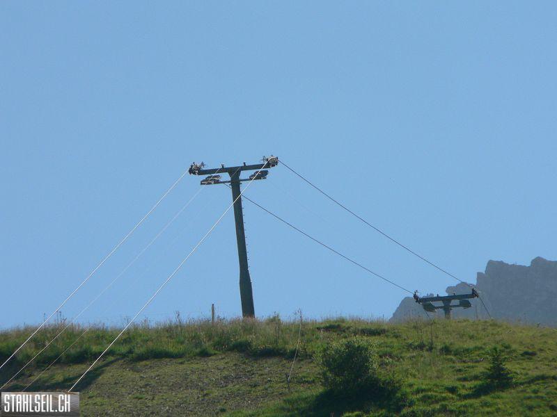 k-P1700969.JPG