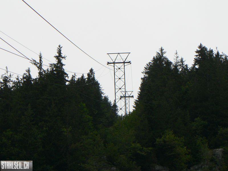 k-P1740273.JPG