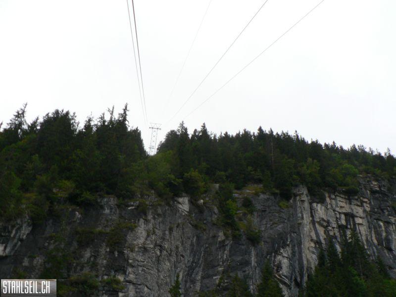 k-P1740281.JPG