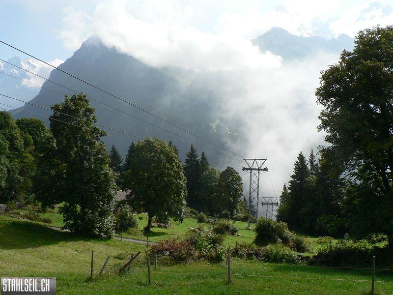 k-P1740366.JPG