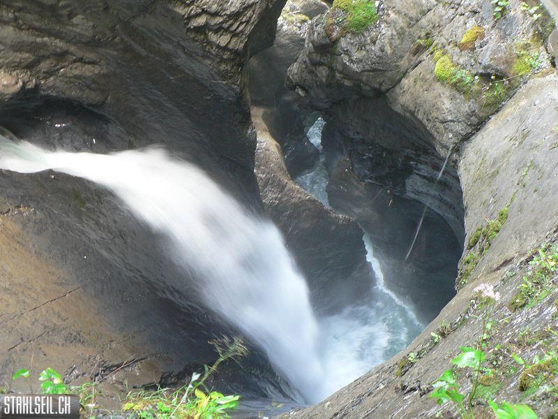 k-P1740768.JPG
