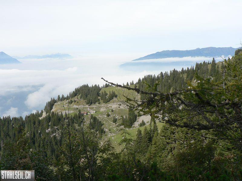 k-P1740901.JPG