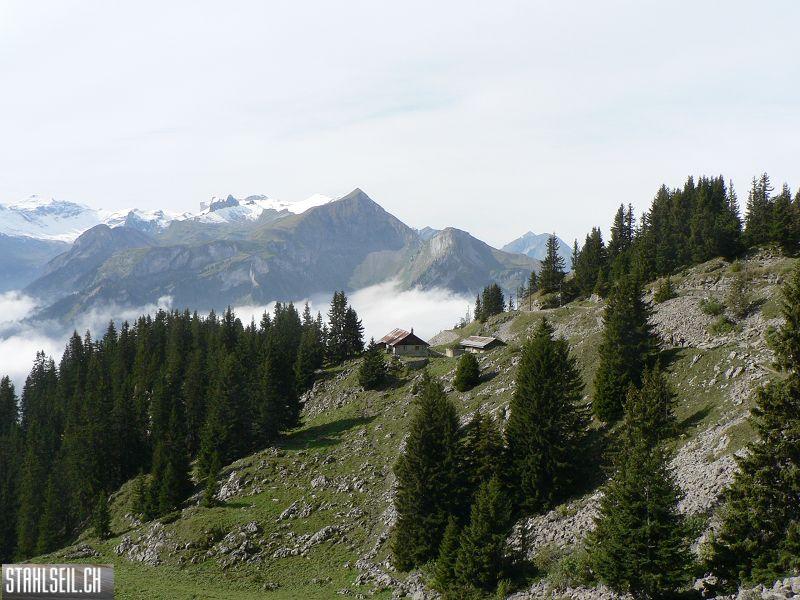 k-P1740907.JPG