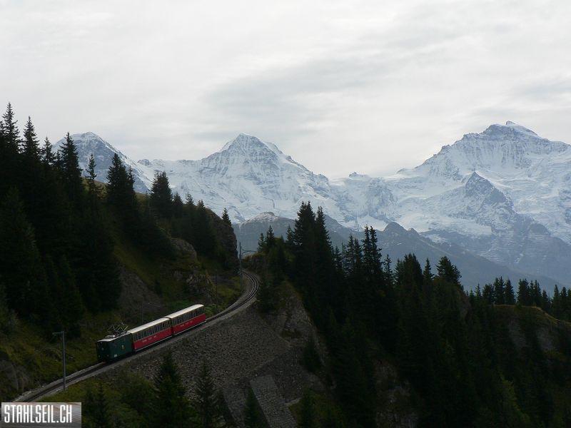 k-P1740941.JPG