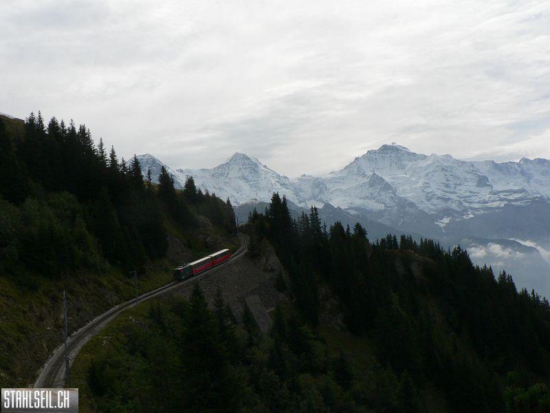 k-P1740948.JPG