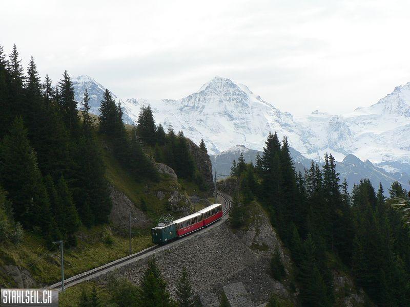 k-P1740953.JPG