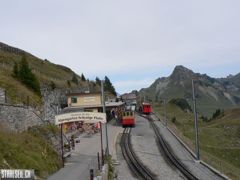 k-P1740963.JPG