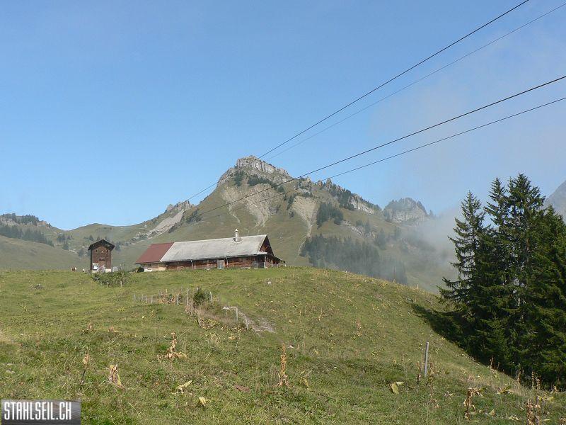 k-P1750009.JPG