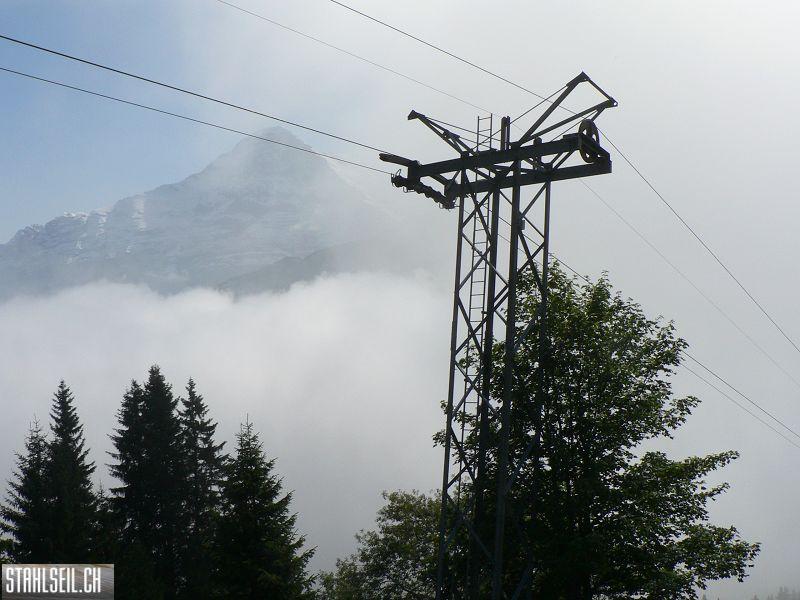 k-P1750010.JPG