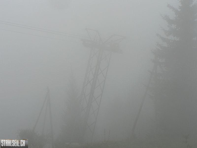 k-P1750012.JPG