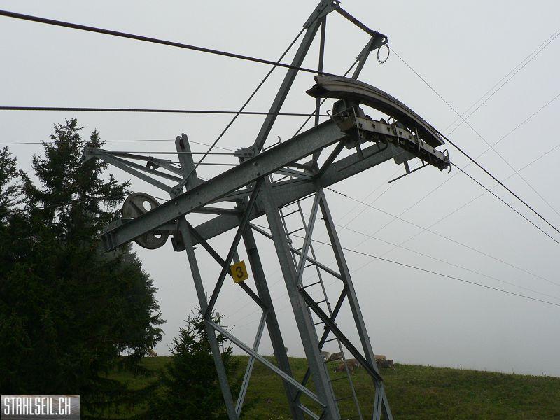 k-P1750030.JPG