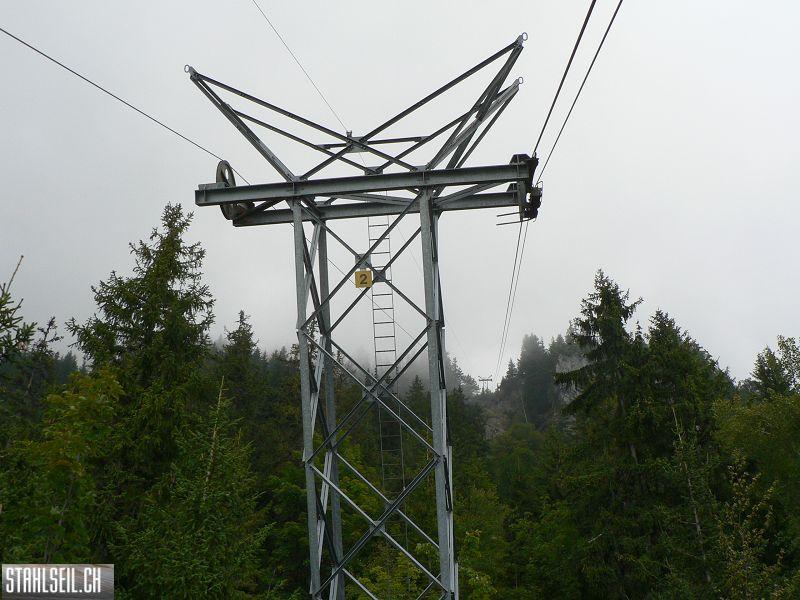 k-P1750050.JPG