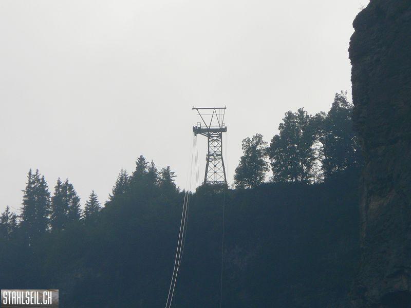 k-P1750141.JPG