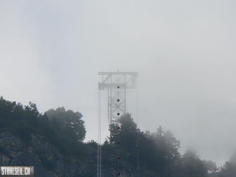 k-P1750153.JPG