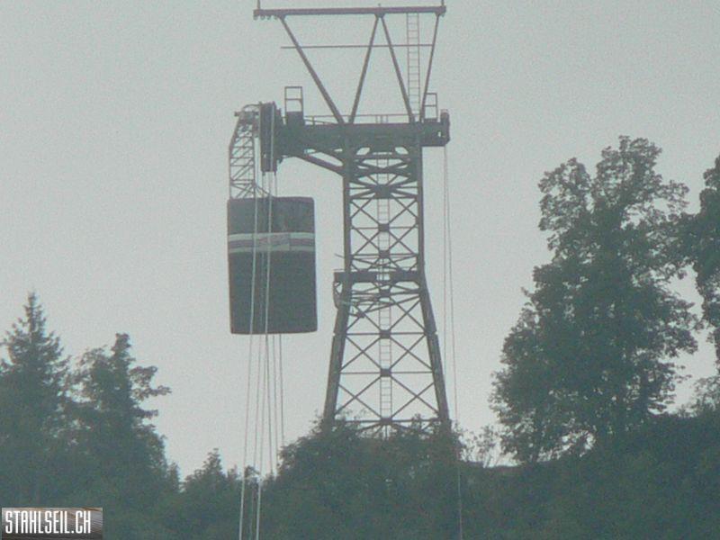 k-P1750186.JPG