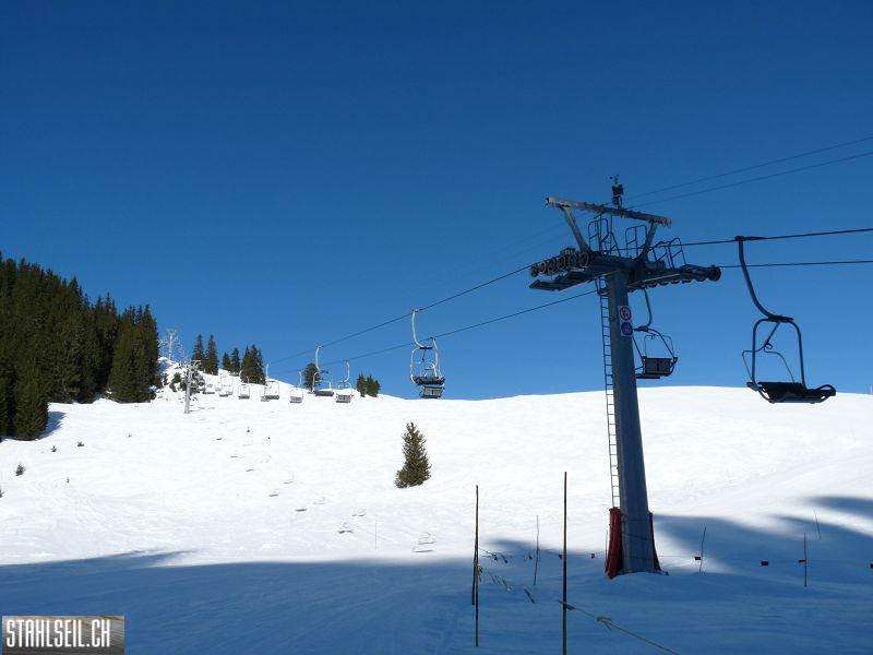 k-P1010421.JPG