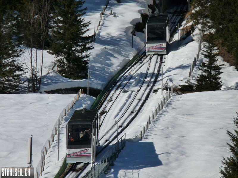 k-P1010557.JPG