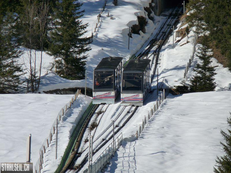 k-P1010559.JPG