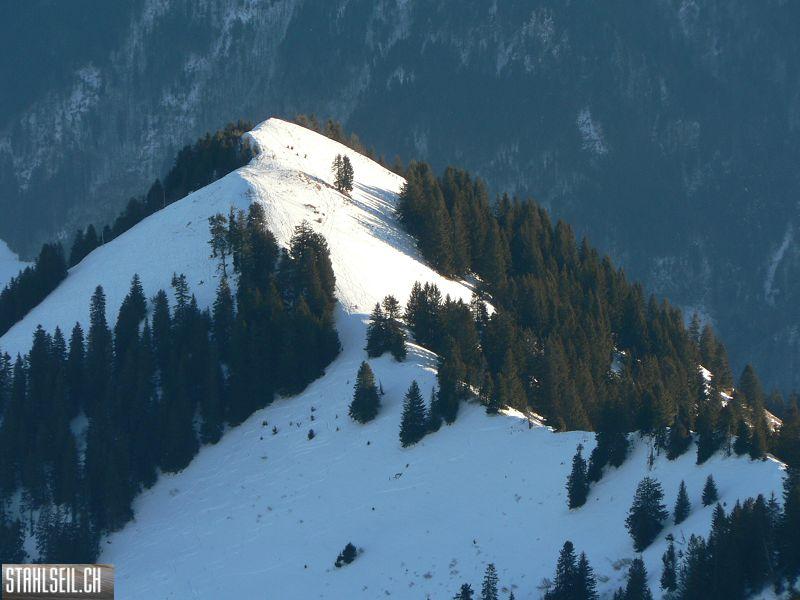 k-P1520094.JPG