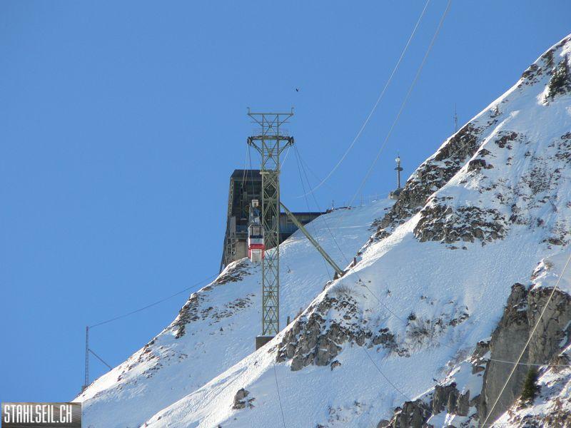 k-P1520143.JPG