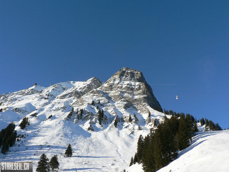 k-P1520163.JPG
