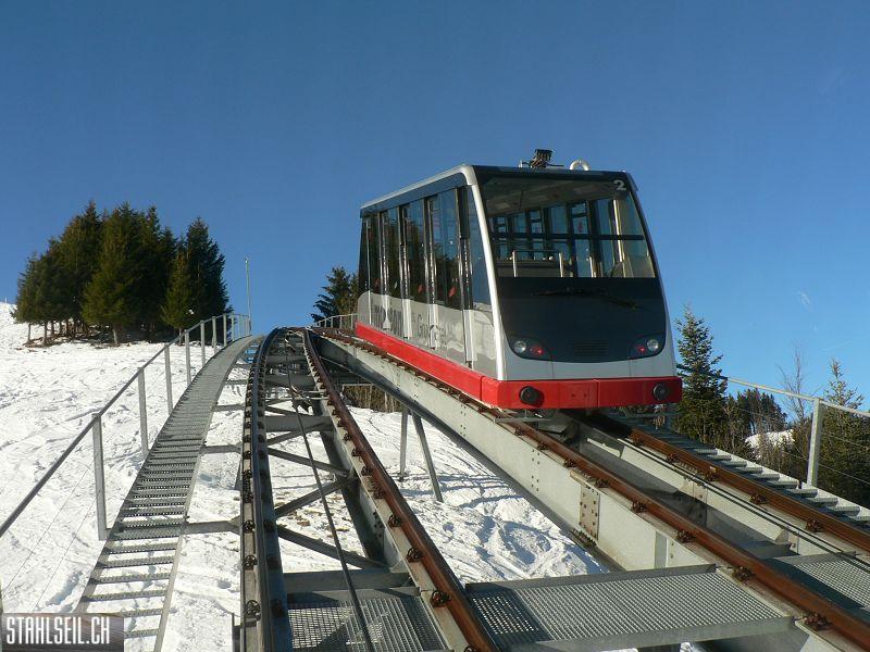 k-P1520169.JPG