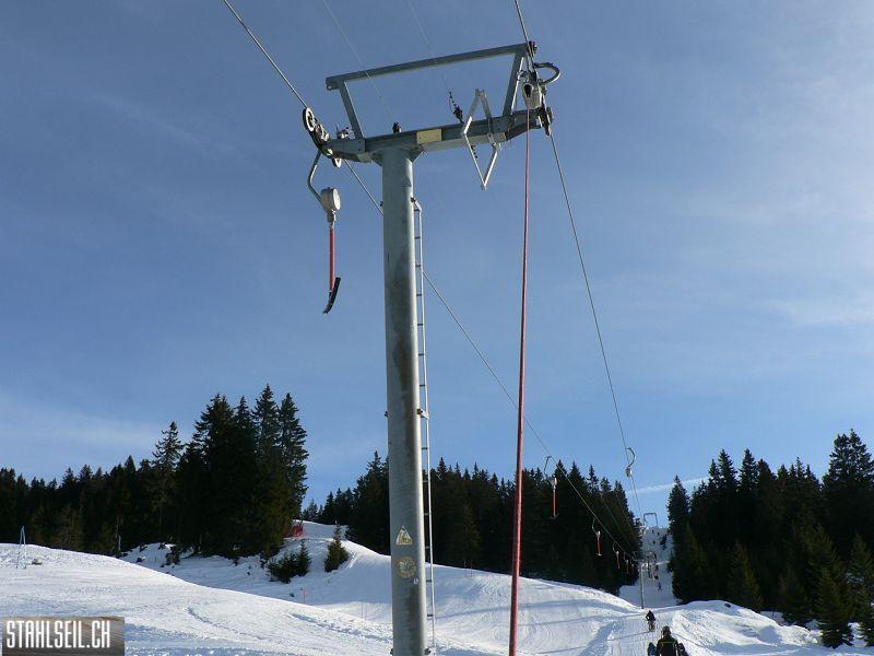k-P1520932.JPG