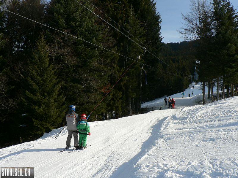 k-P1520963.JPG