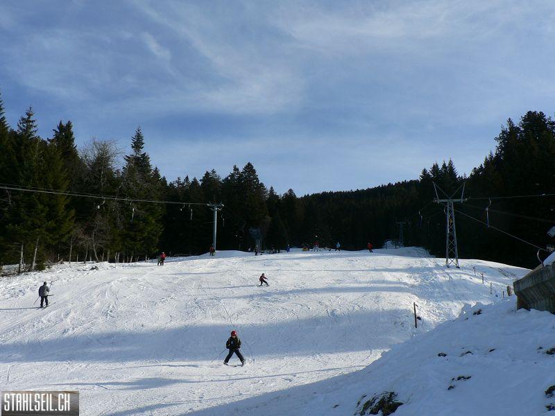 k-P1530118.JPG