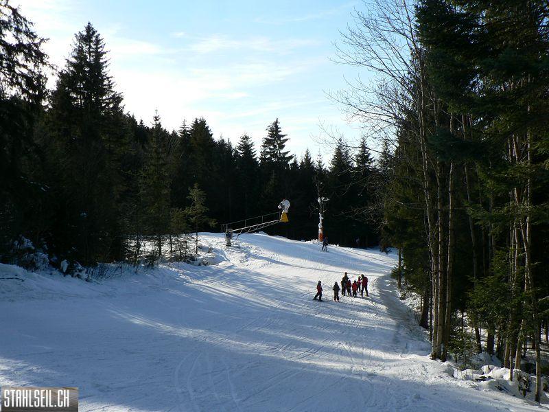 k-P1530288.JPG
