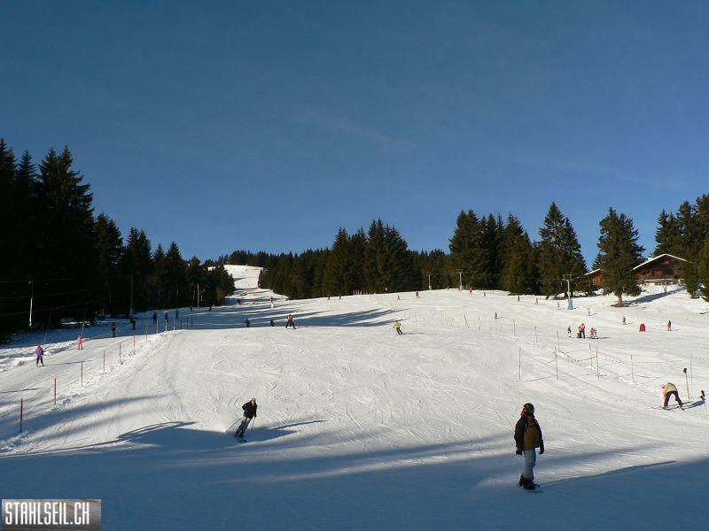 k-P1530448.JPG