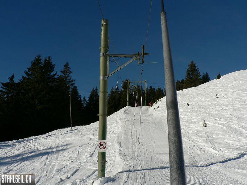 k-P1530459.JPG