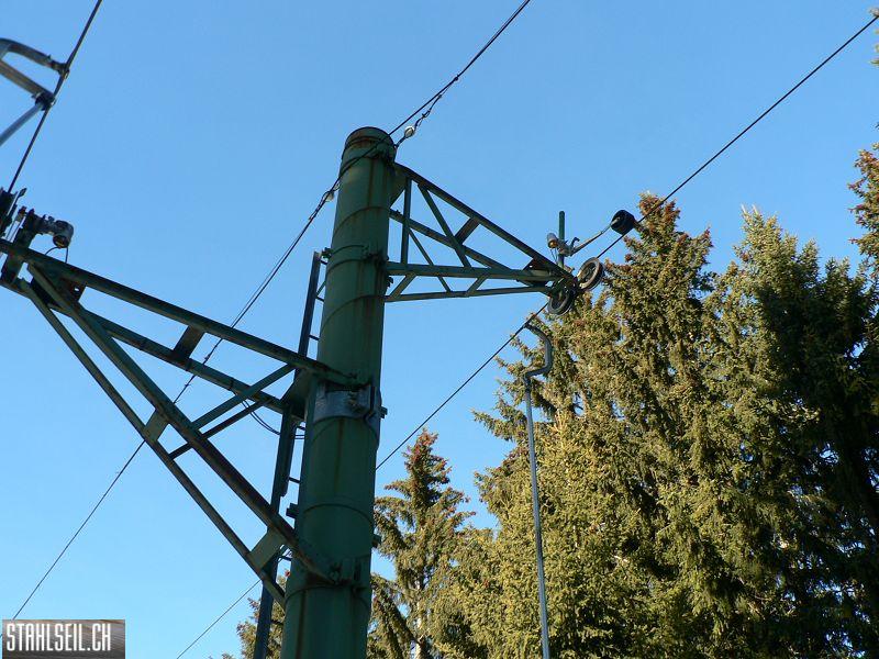 k-P1530477.JPG