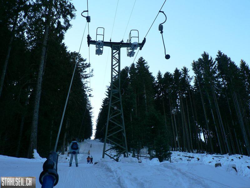 k-P1530585.JPG