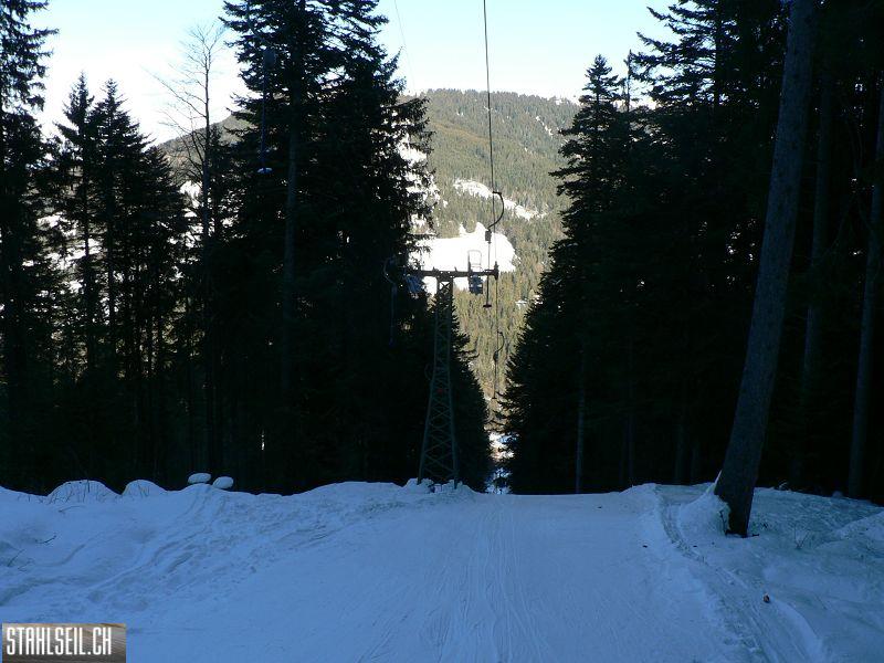 k-P1530587.JPG