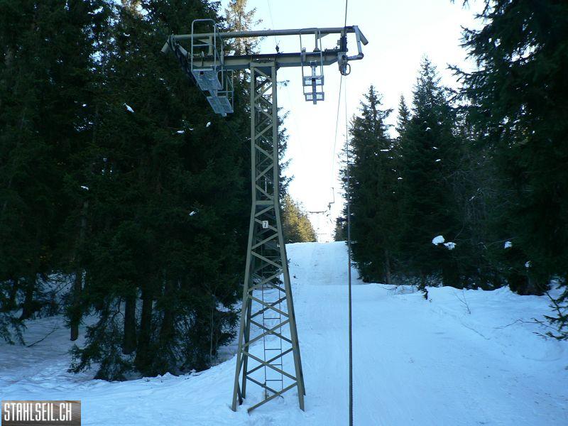 k-P1530656.JPG