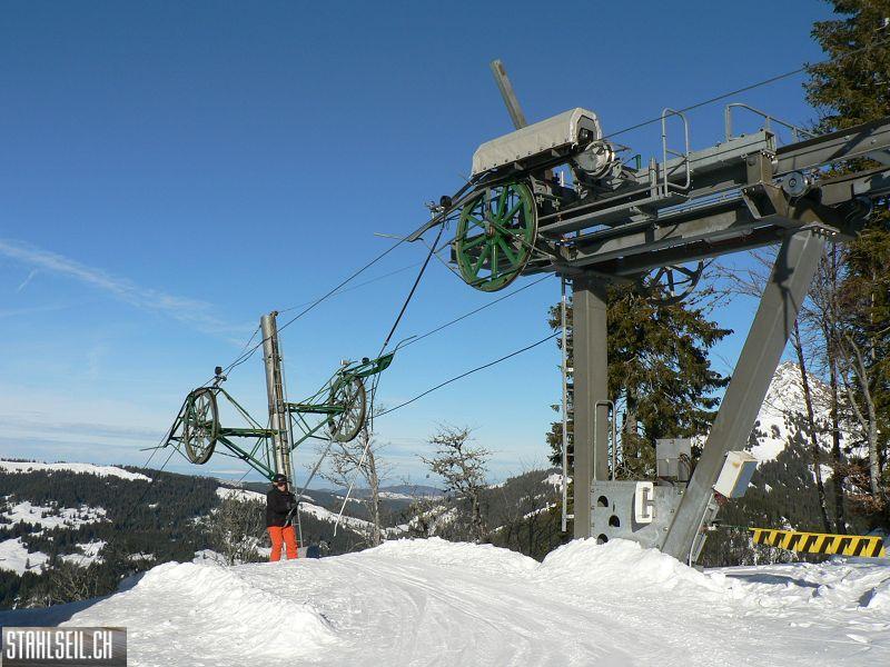 k-P1530789.JPG