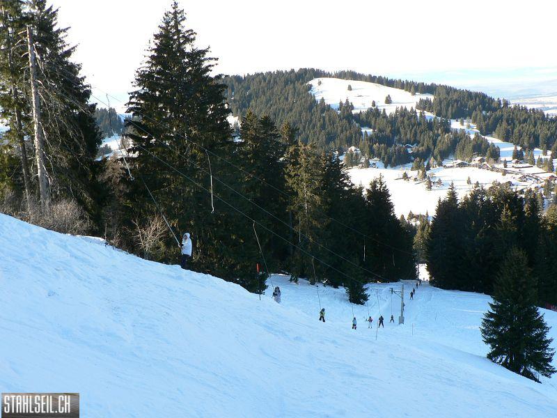 k-P1530822.JPG