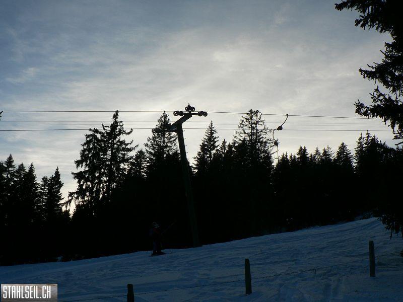 k-P1540010.JPG