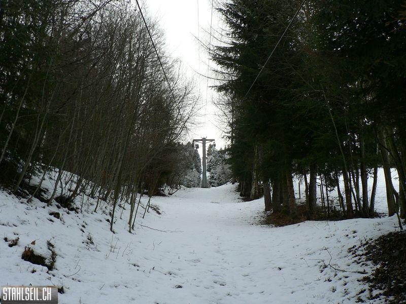 k-P1540160.JPG