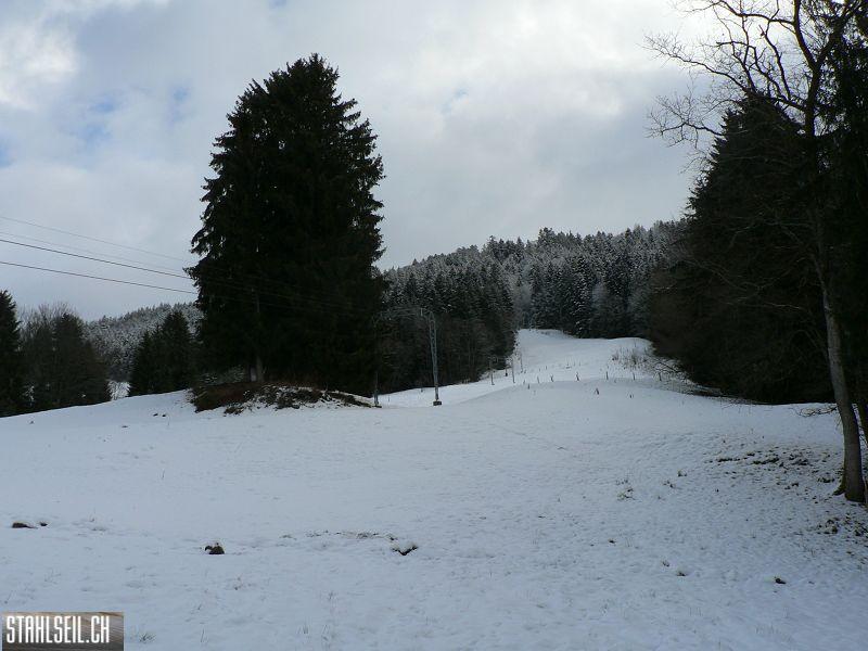 k-P1540192.JPG