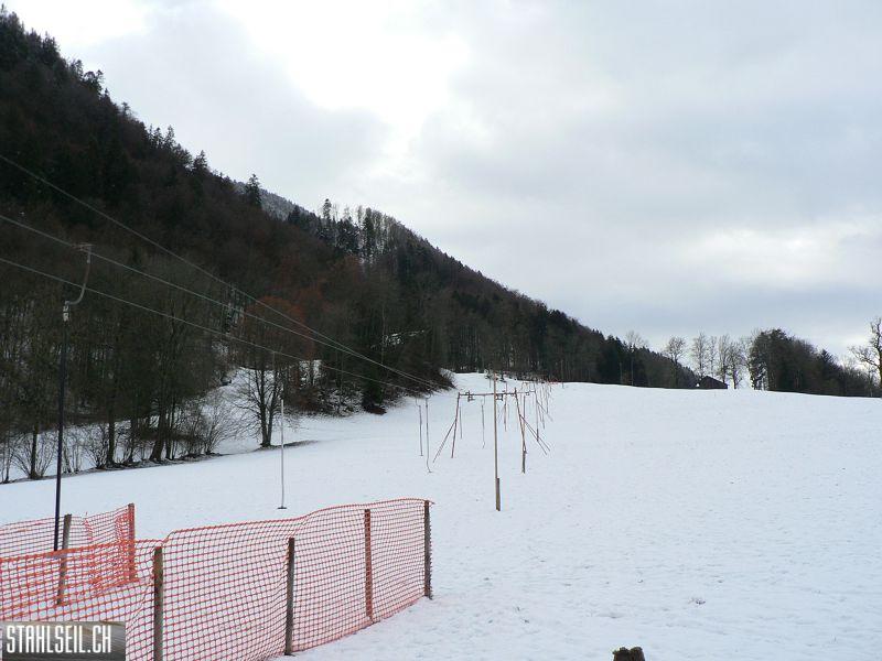 k-P1540204.JPG
